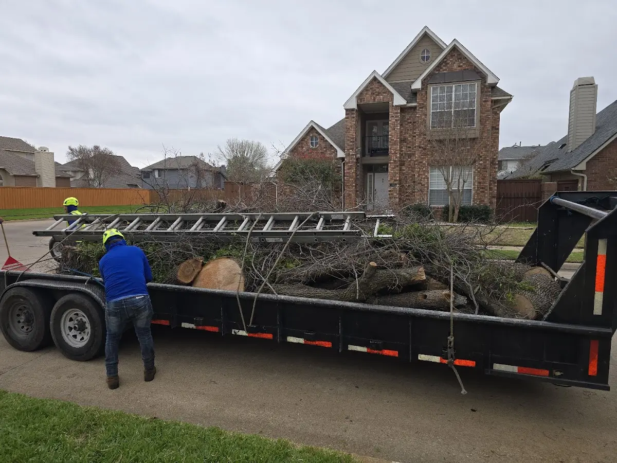 Expert Tree Pest Control with proper safety equipment in Cushing